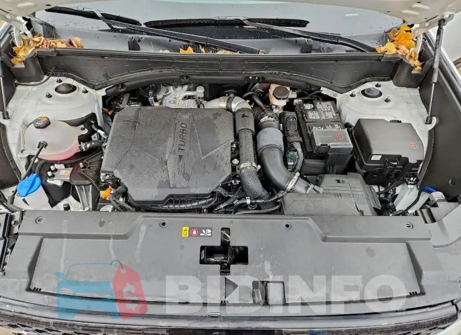 5NMP5DGL2RH042156 Photo# 12