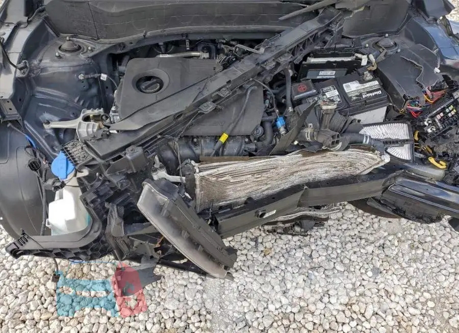 KNDERCAA3M7193164 Photo# 11