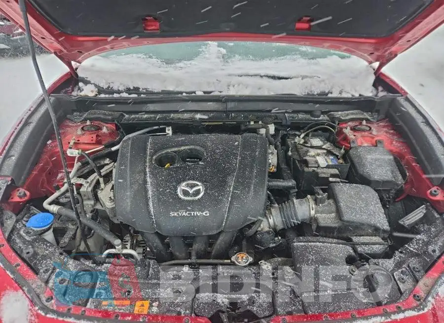 3MVDMBDM4MM213677 Photo# 11