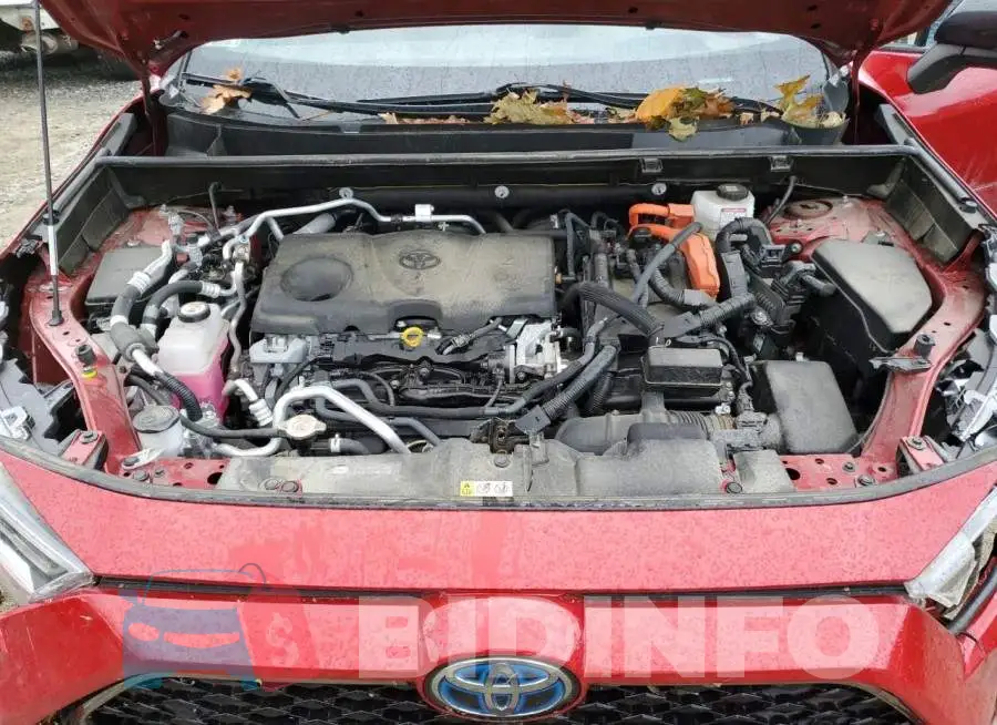 JTMFB3FV4MD061309 Photo# 12