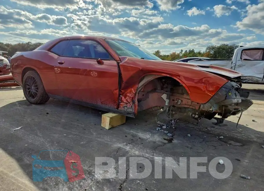 2C3CDZAG9LH176891 Photo# 4