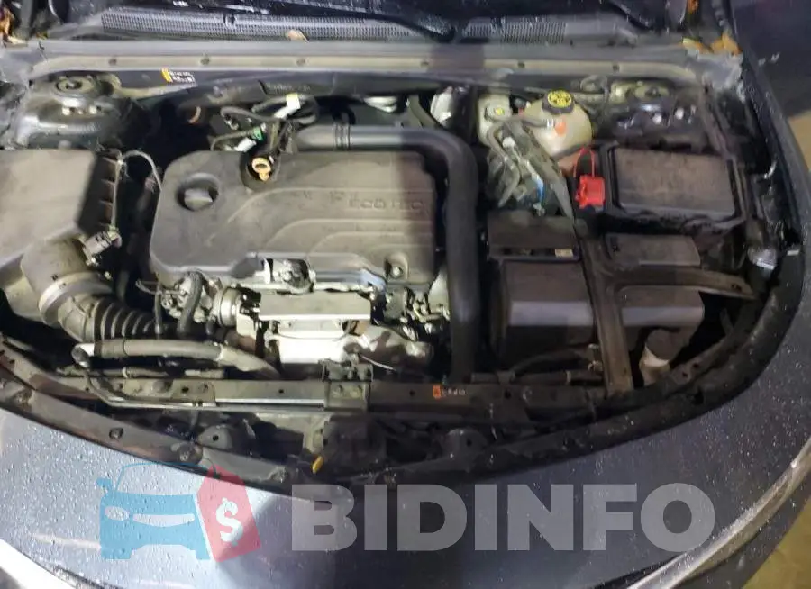 1G1ZB5ST2LF117191 Photo# 11