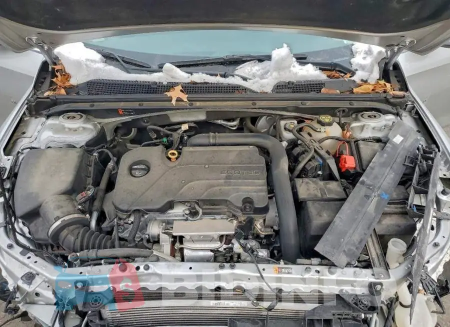 1G1ZB5ST8KF186708 Photo# 11