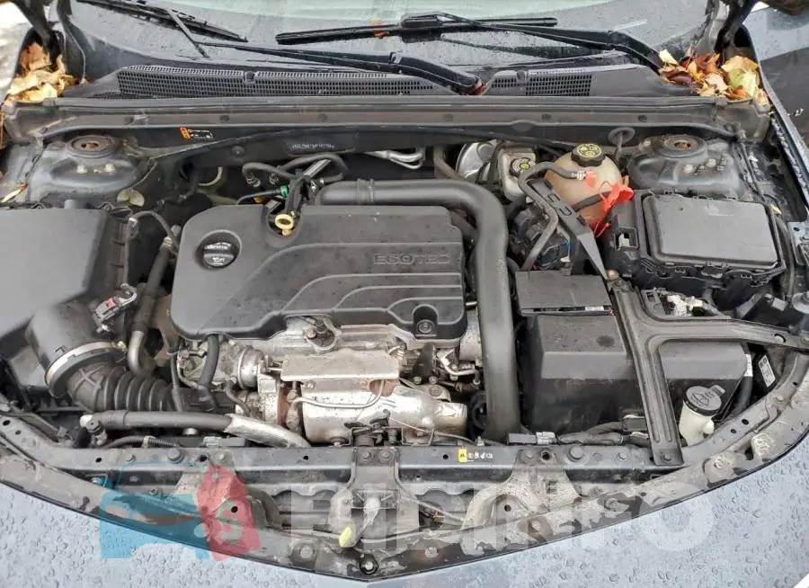 1G1ZD5ST8KF142704 Photo# 11