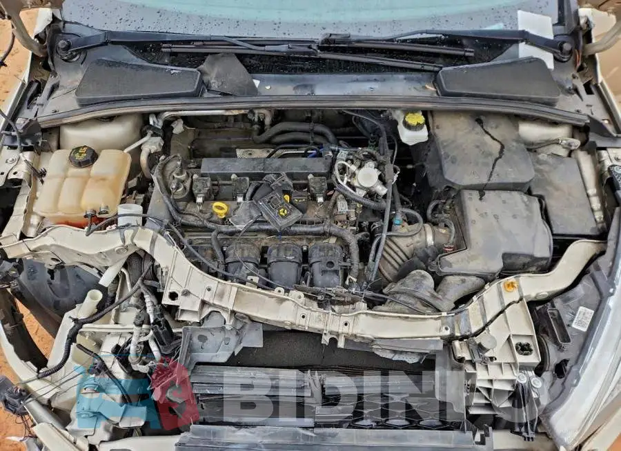 1FADP3F2XJL255266 Photo# 11