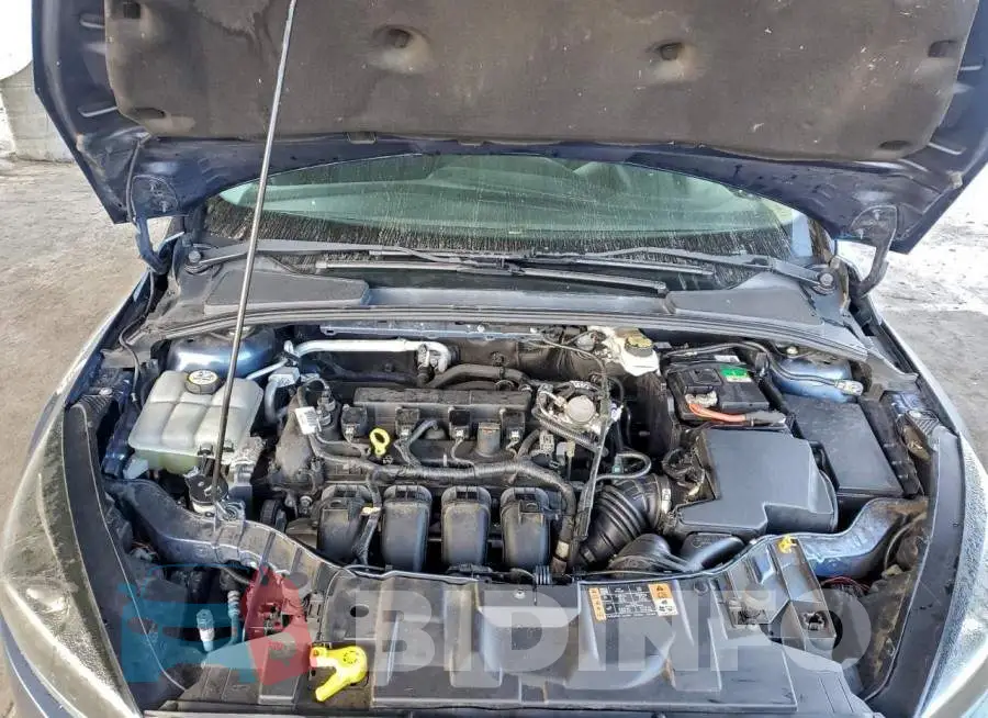 1FADP3M20JL313601 Photo# 11