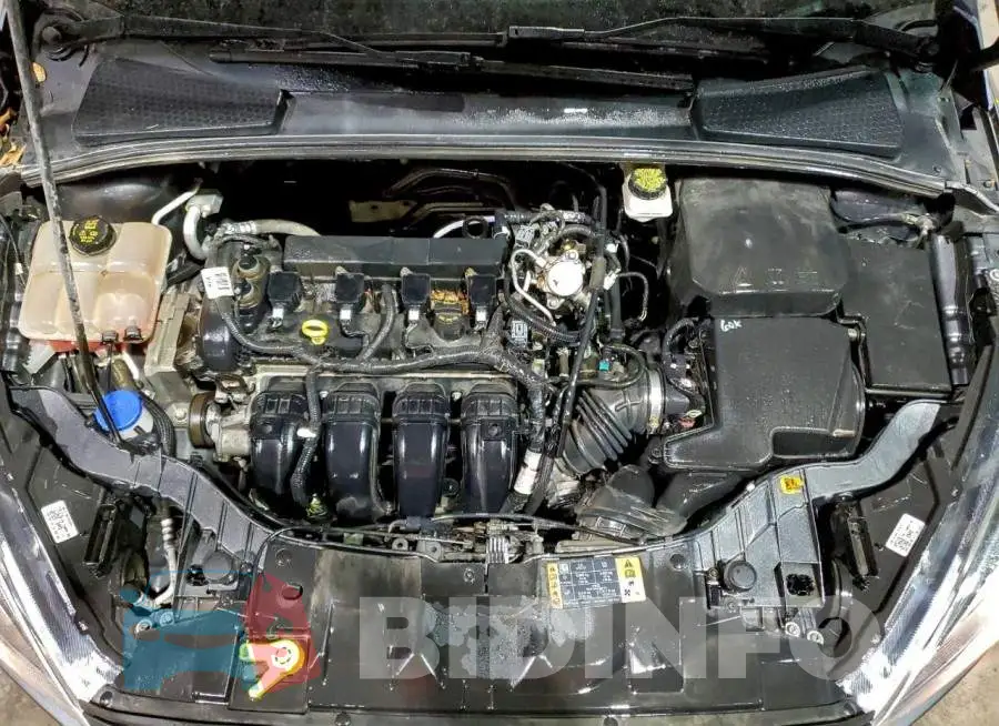 1FADP3M21JL310948 Photo# 12