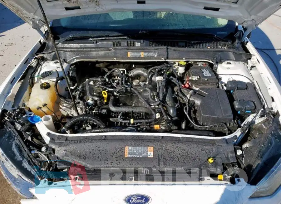 3FA6P0HD8LR148243 Photo# 11