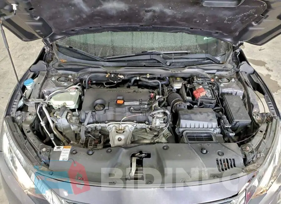 19XFC2F79HE020980 Photo# 11