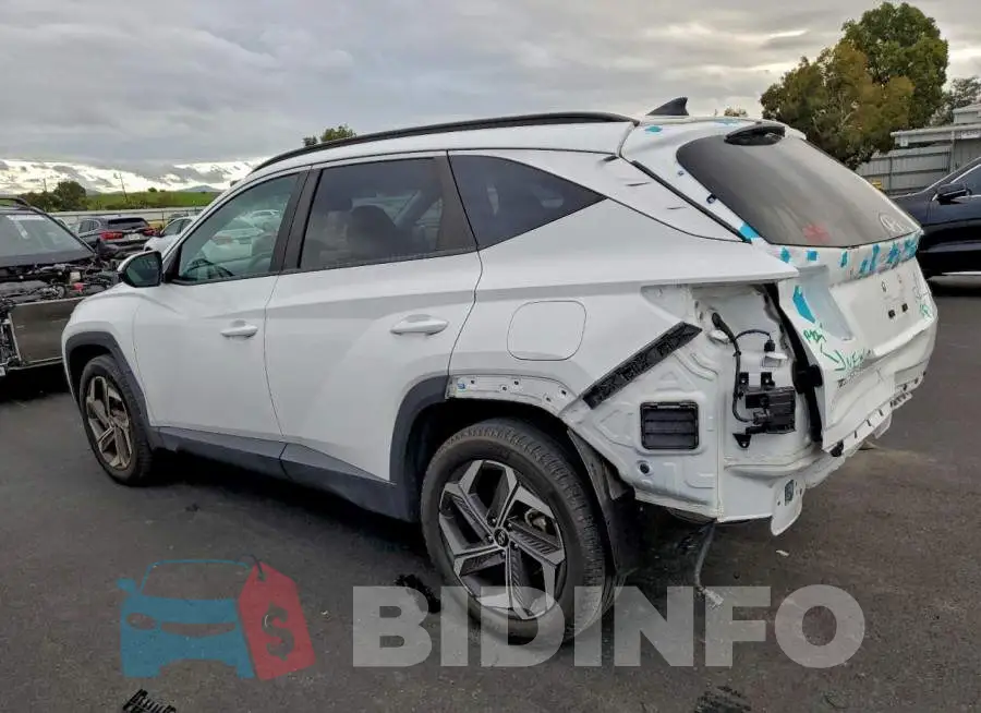 5NMJFCAE1PH267642 Photo# 2