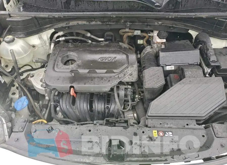KNDPN3AC3K7538373 Photo# 11