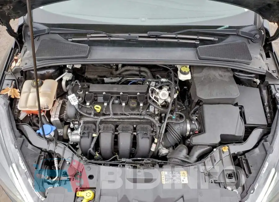 1FADP3M2XHL277488 Photo# 12