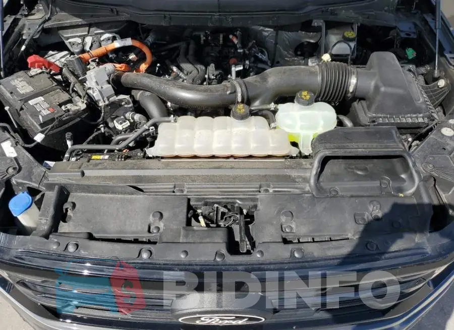 1FTFW3LD3RFB05571 Photo# 11