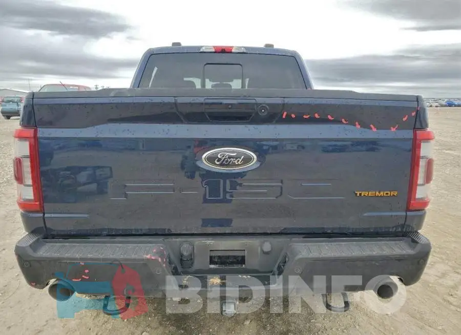 1FTEW1E86NFB76435 Photo# 6