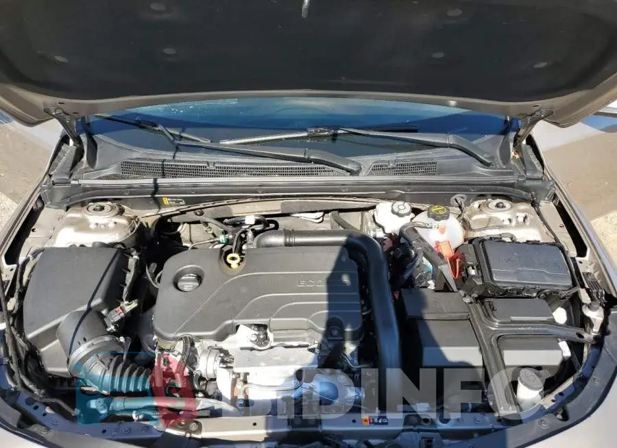 1G1ZD5ST5RF236081 Photo# 11