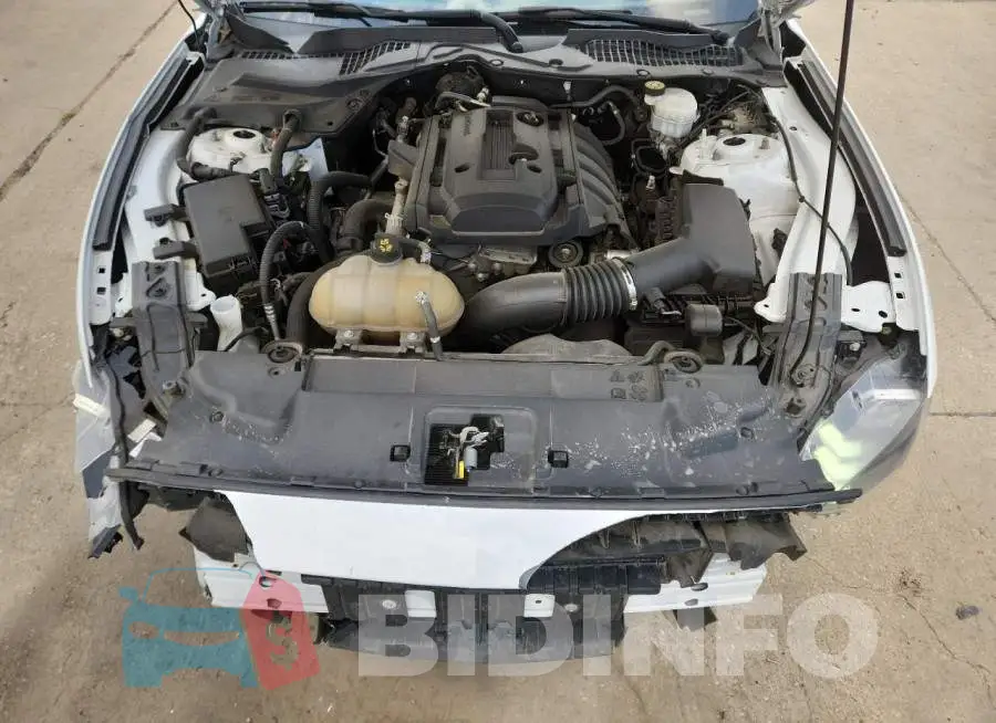 1FA6P8TH8K5201534 Photo# 11