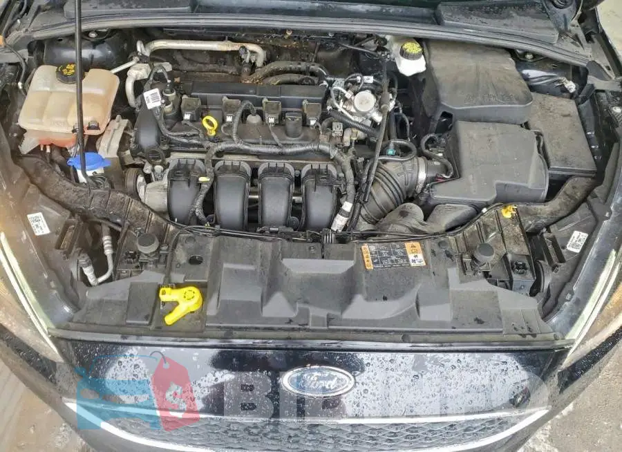 1FADP3M2XJL258090 Photo# 11