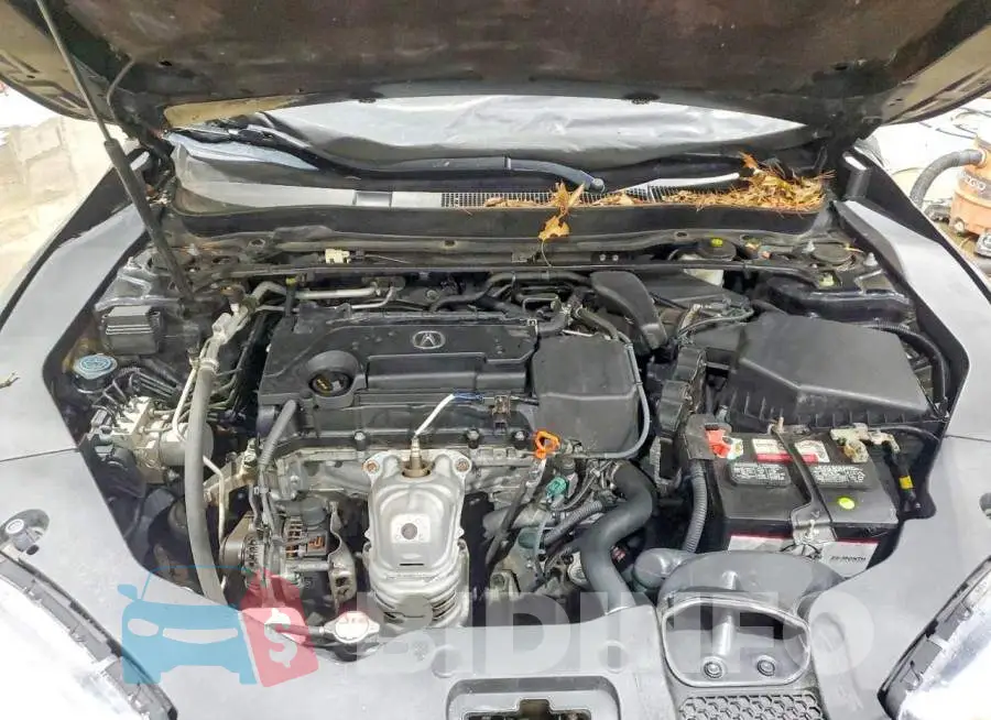 19UUB1F50KA005976 Photo# 11
