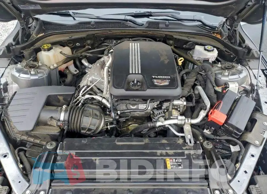 1G6DB5RK2L0132830 Photo# 11