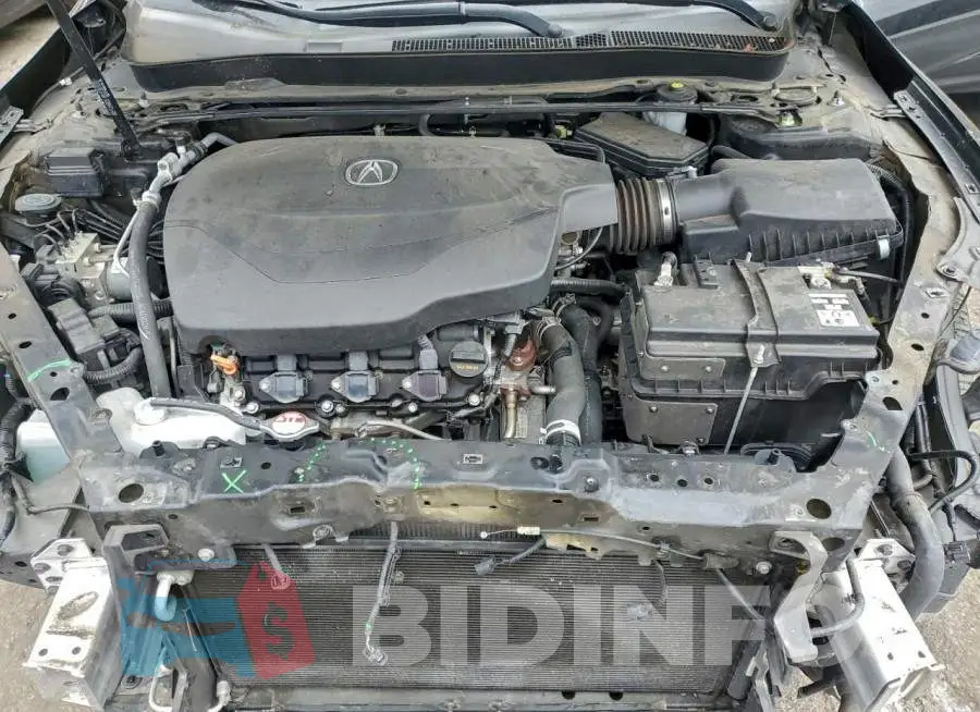 19UUB2F45KA010491 Photo# 11