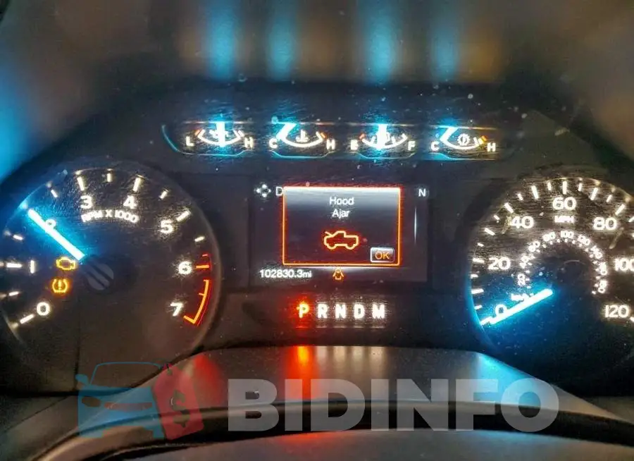 1FTEW1E46KKC81802 Photo# 9