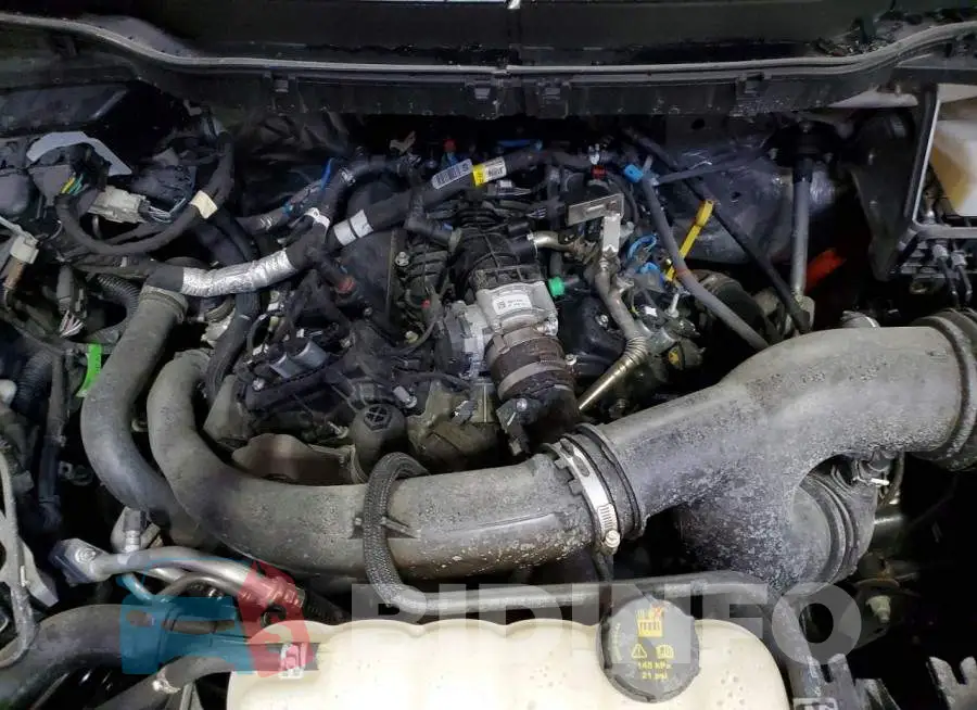1FTEW3LP7RFC00236 Photo# 11
