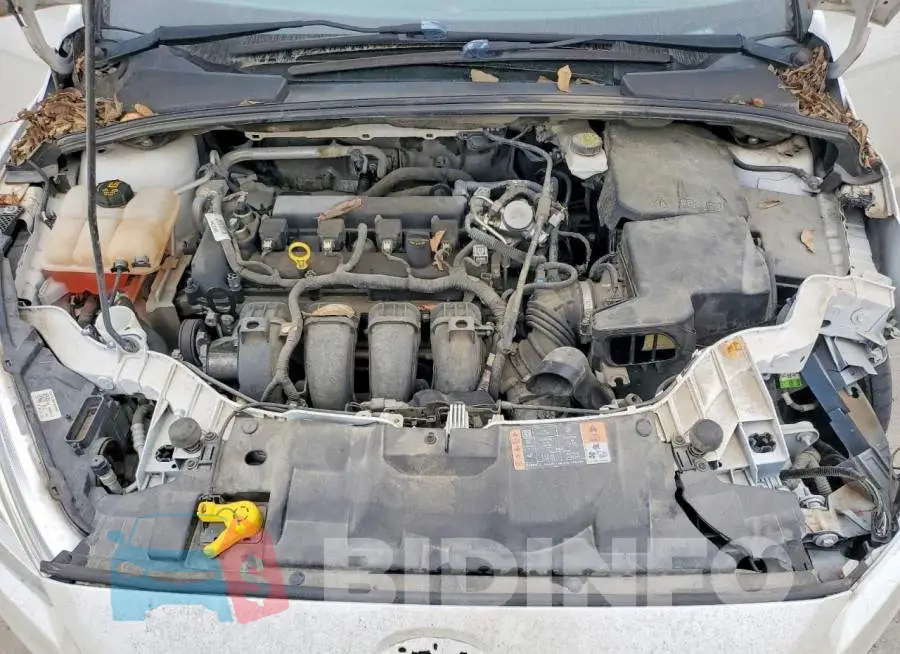 1FADP3J2XJL233095 Photo# 11