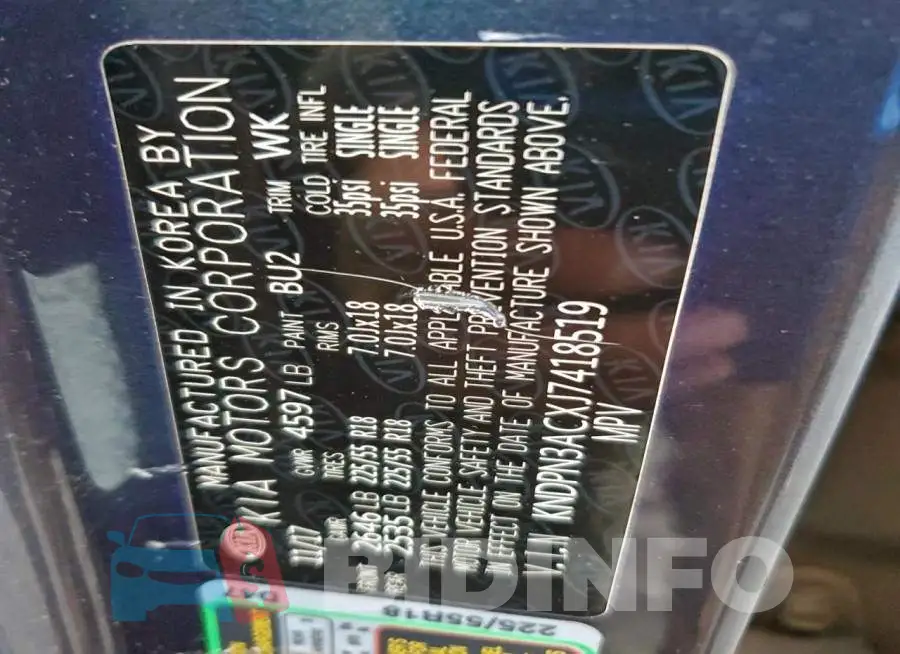 KNDPN3ACXJ7418519 Photo# 12