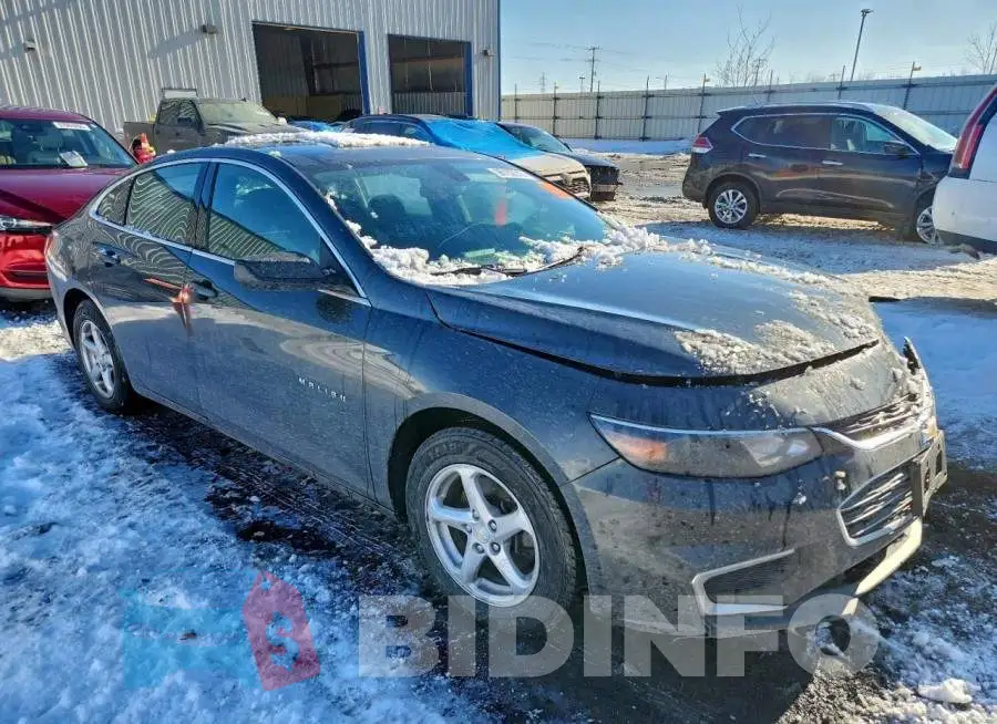 1G1ZB5ST6HF205636 Photo# 4
