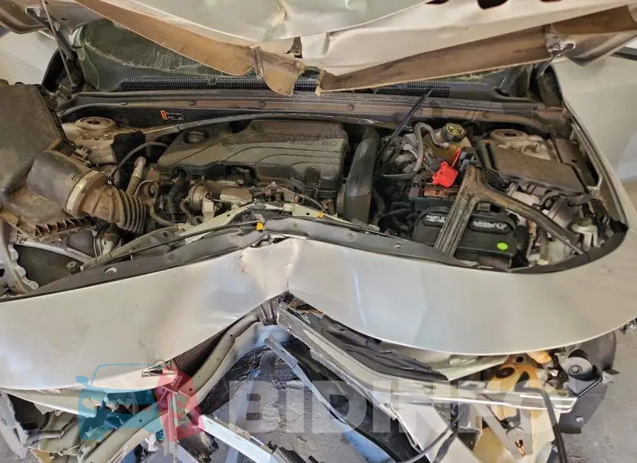 1G1ZD5ST9KF137320 Photo# 11