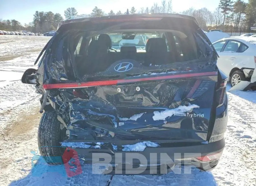 KM8JECD16RU218004 Photo# 6