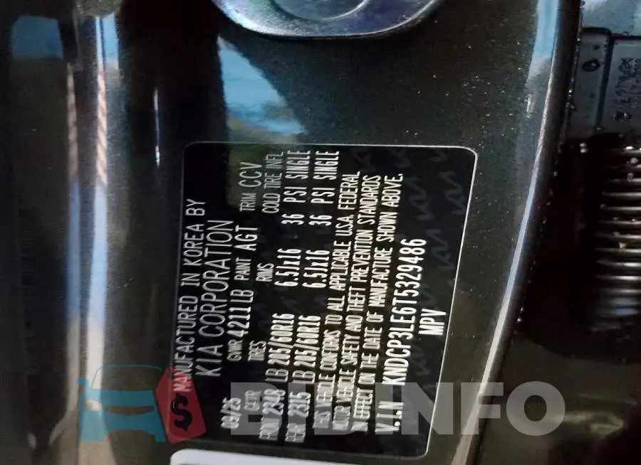 KNDCP3LE6T5329486 Photo# 13