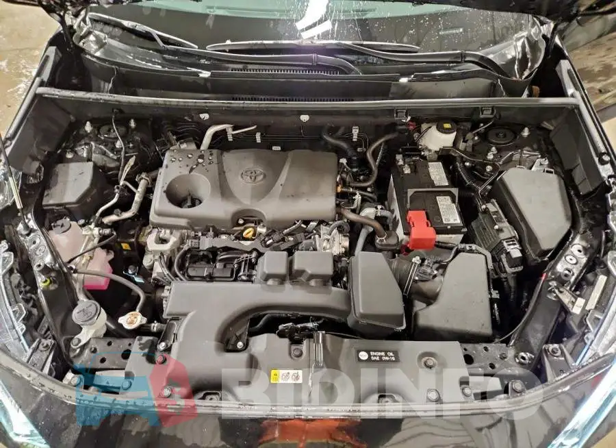 2T3P1RFV6RC420973 Photo# 12