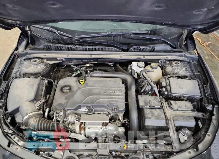 1G1ZD5ST7RF112569 Photo# 11