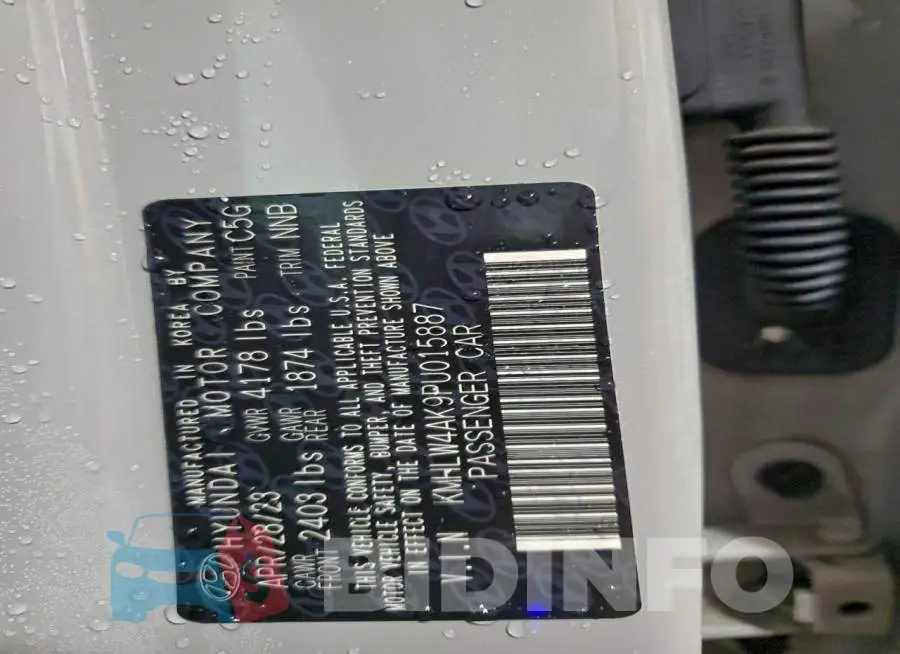 KMHLW4AK9PU015887 Photo# 12