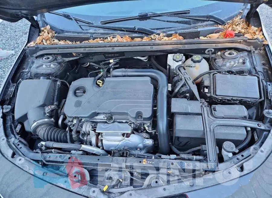 1G1ZD5ST6RF118234 Photo# 11