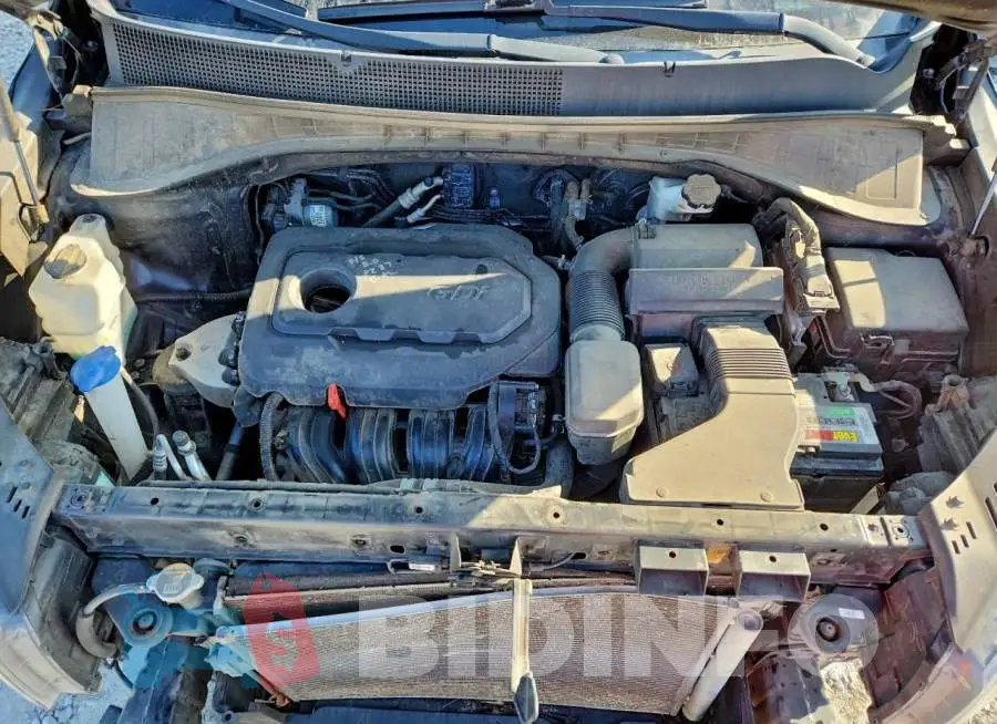 5XYPG4A30KG575299 Photo# 12