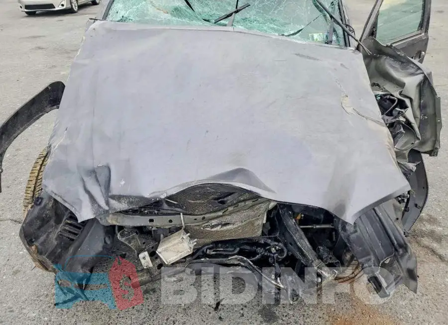3TYCZ5AN2MT052795 Photo# 11