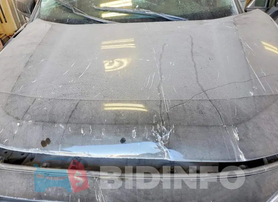 JTMW1RFV8KD016991 Photo# 12