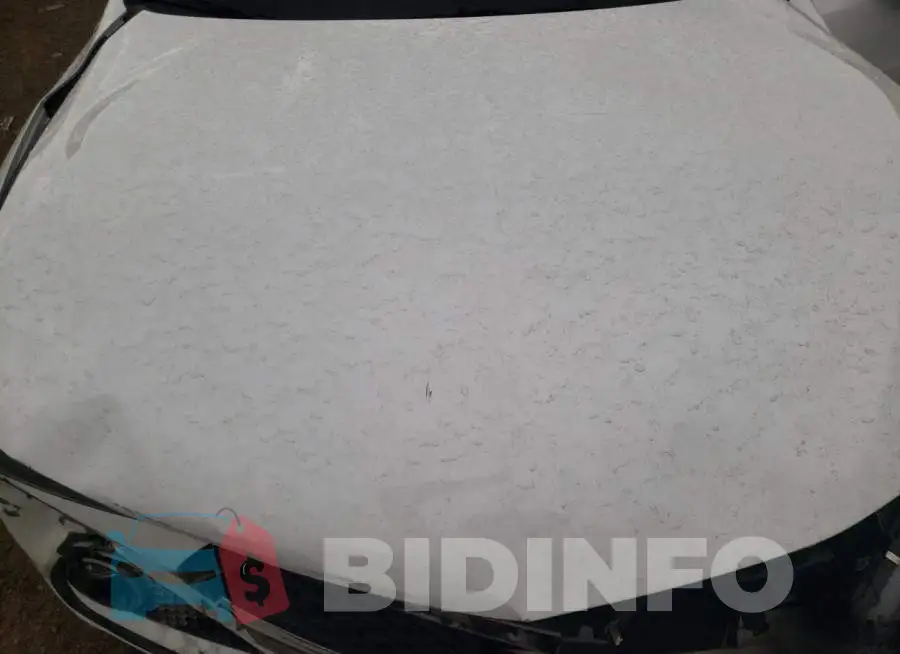 19UUB2F6XJA011751 Photo# 11