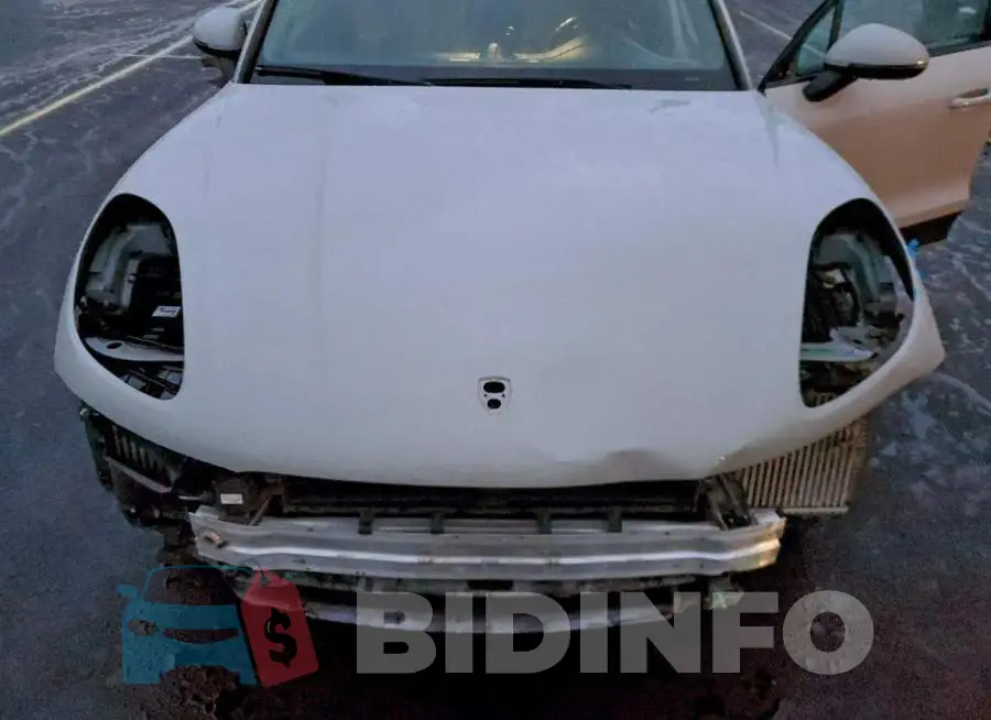 WP1AB2A5XLLB32060 Photo# 11