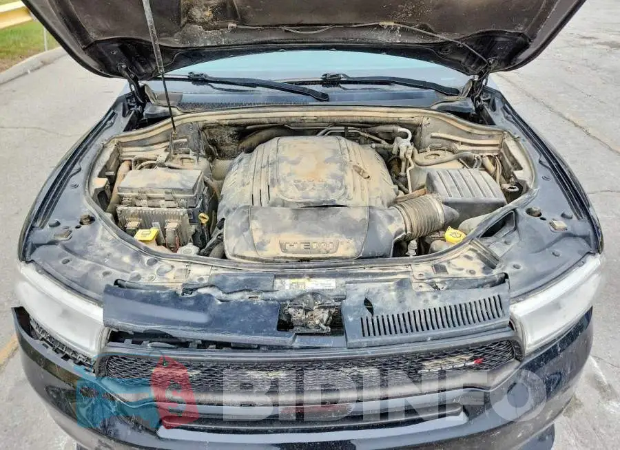 1C4SDJFT2KC781240 Photo# 12