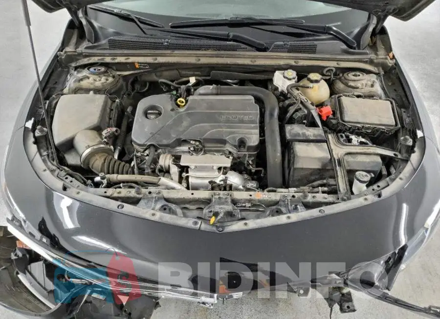 1G1ZD5ST5PF132462 Photo# 11