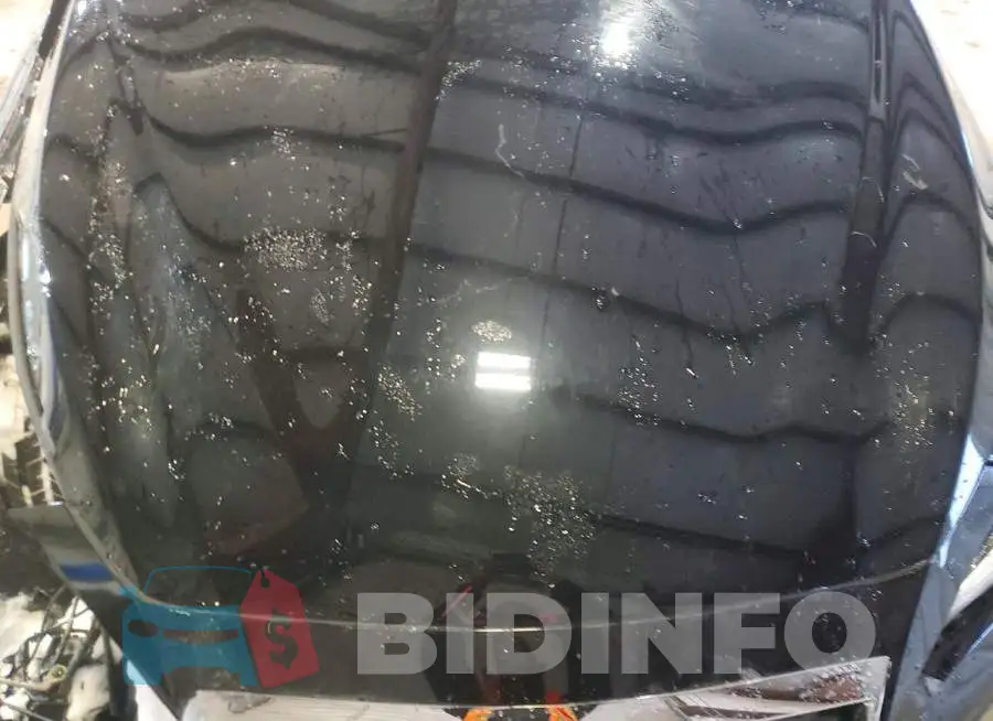 JN1EV7AR5LM250699 Photo# 11
