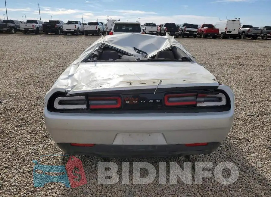 2C3CDZBT3LH118447 Photo# 6