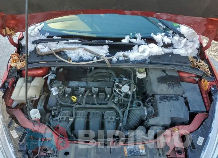 1FADP3F25JL275697 Photo# 11