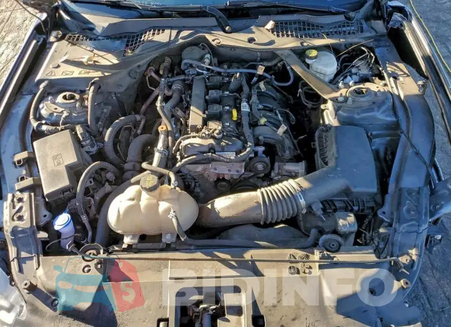 1FATP8UH2M5135258 Photo# 11