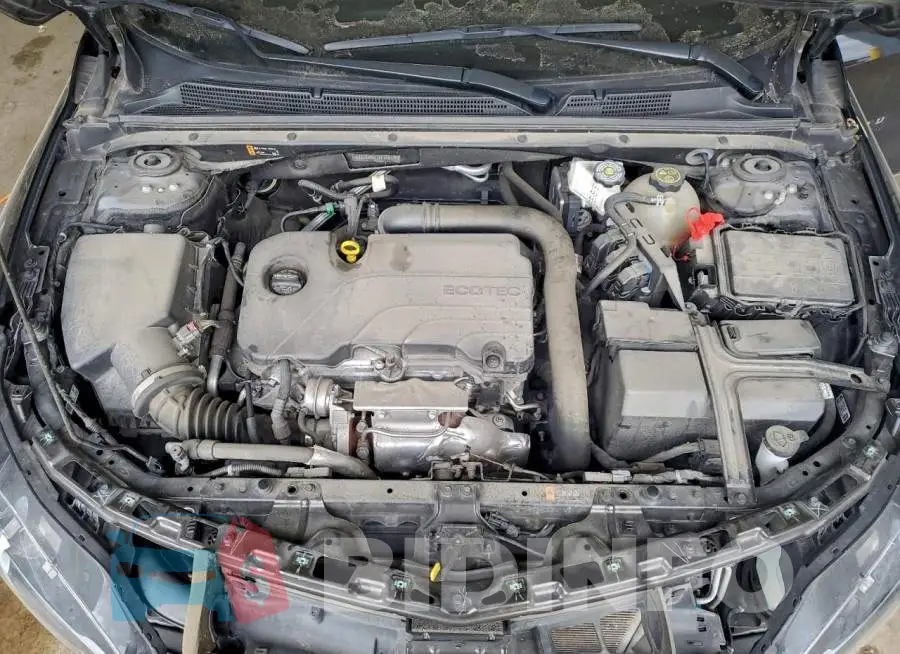 1G1ZB5ST7PF240135 Photo# 11