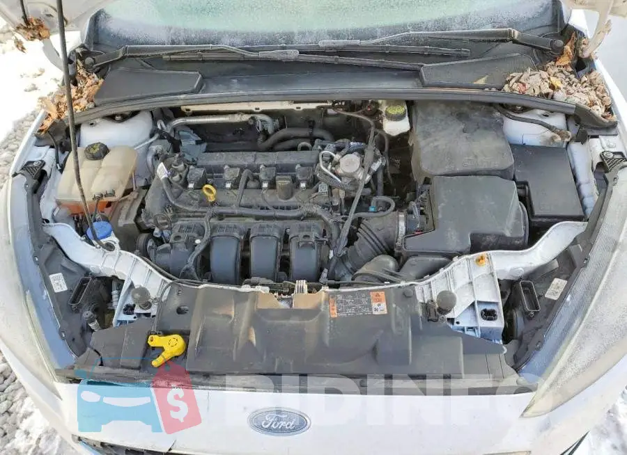1FADP3M20JL210162 Photo# 11