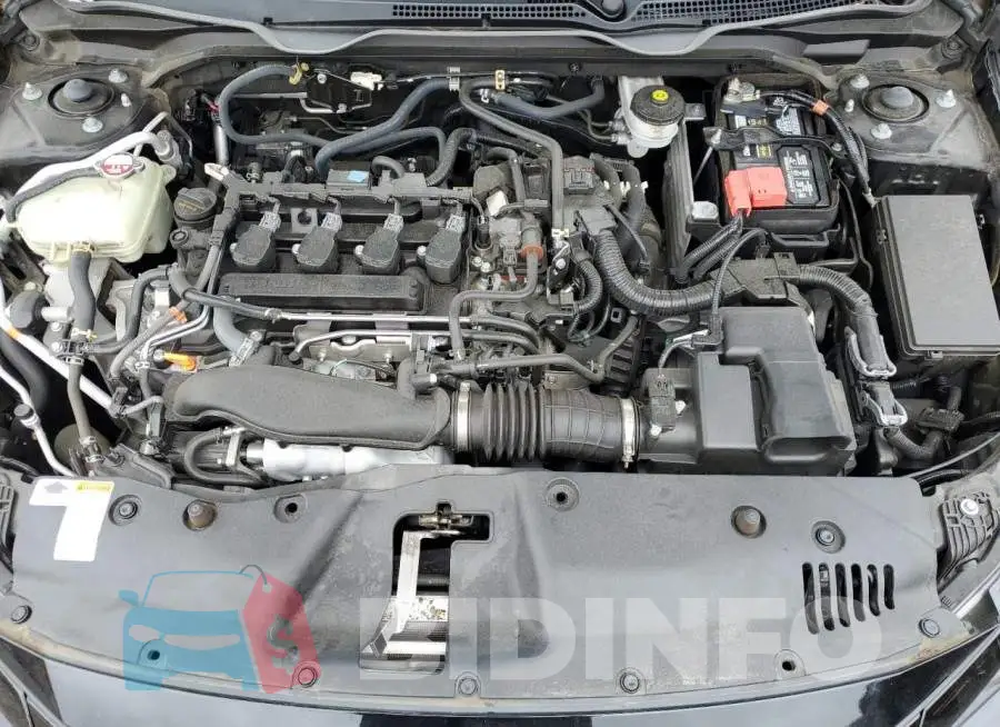 19XFC1F35ME207831 Photo# 11